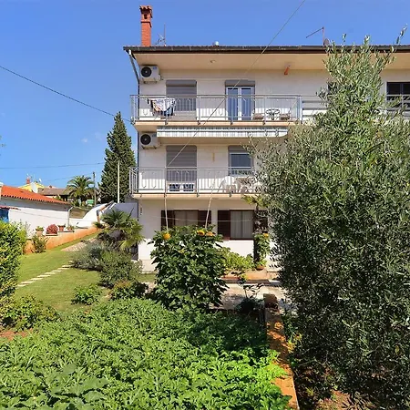 Apartamento Violeta 745 *